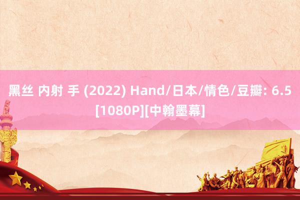 黑丝 内射 手 (2022) Hand/日本/情色/豆瓣: 6.5[1080P][中翰墨幕]