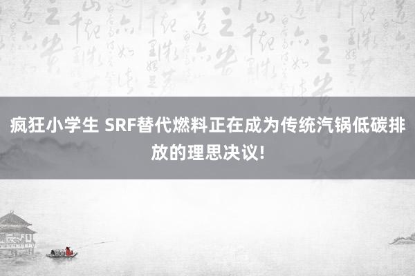 疯狂小学生 SRF替代燃料正在成为传统汽锅低碳排放的理思决议!