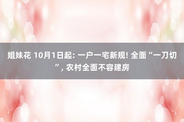姐妹花 10月1日起: 一户一宅新规! 全面“一刀切”， 农村全面不容建房