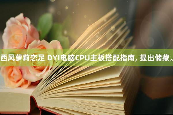 西风萝莉恋足 DYI电脑CPU主板搭配指南， 提出储藏。