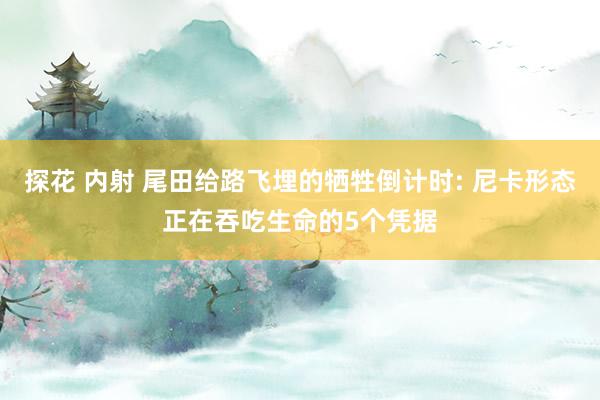 探花 内射 尾田给路飞埋的牺牲倒计时: 尼卡形态正在吞吃生命的5个凭据