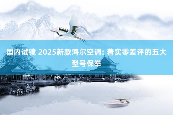国内试镜 2025新款海尔空调: 着实零差评的五大型号保举