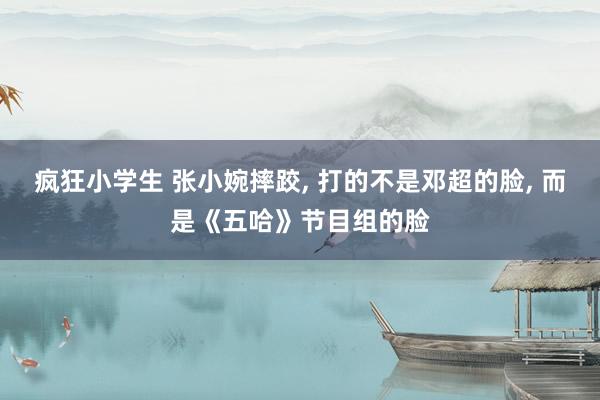 疯狂小学生 张小婉摔跤， 打的不是邓超的脸， 而是《五哈》节目组的脸