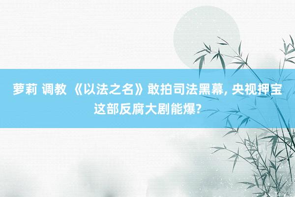 萝莉 调教 《以法之名》敢拍司法黑幕， 央视押宝这部反腐大剧能爆?